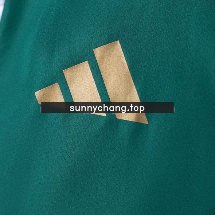 Italy 2026 All Weather Jacket Windbreaker - Green - 图片 6