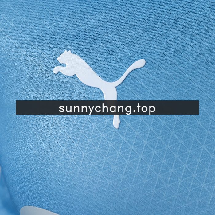 Manchester City 26/27 Home Player Version Long Sleeved Jersey - 图片 7