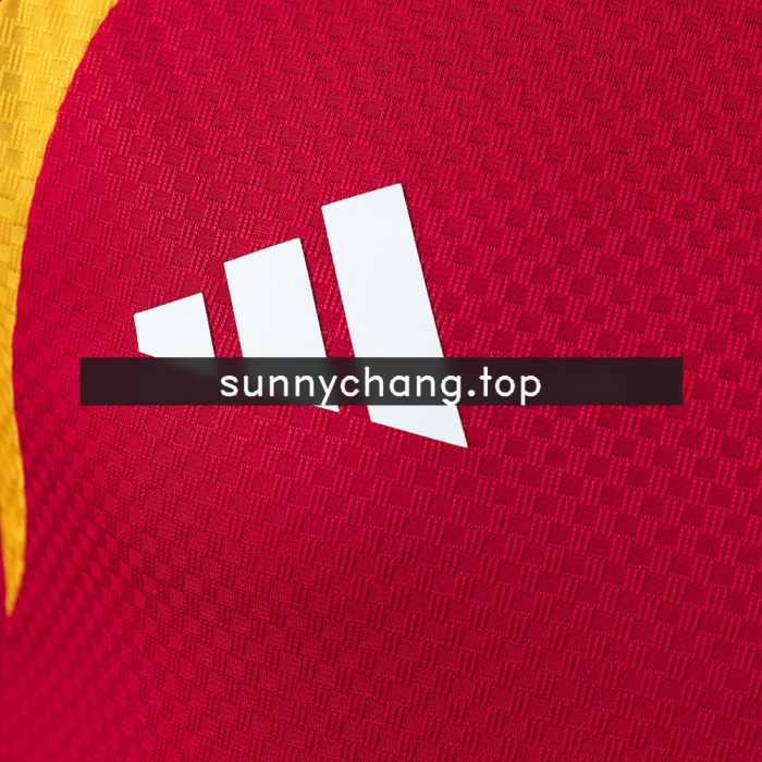 Germany 2026 OG Player Version Training Jersey - White S-3XL - 图片 4
