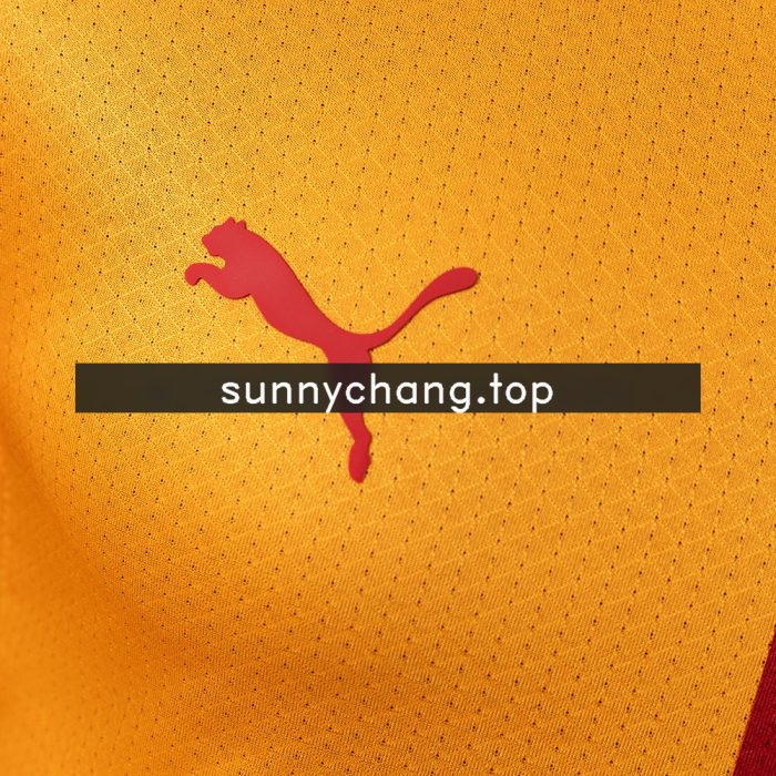 Galatasaray 26/27 Home Player Version Jersey - 图片 6