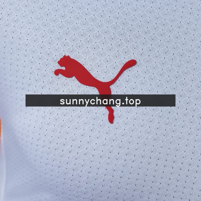 Galatasaray 26/27 Away Player Version Jersey - 图片 6