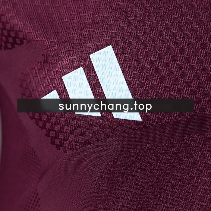 Aston Villa 26/27 Home Player Version Jersey - 图片 7