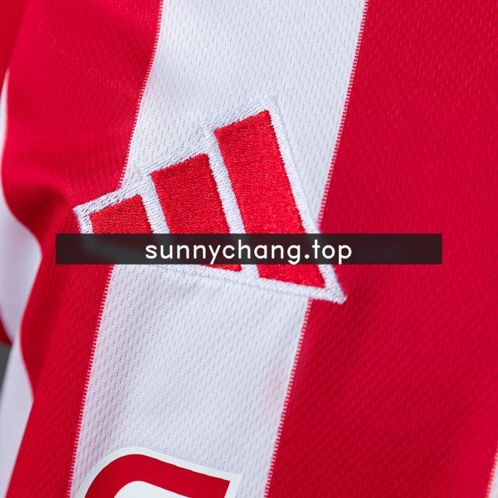 Olympiacos 26/27 Home Jersey - 图片 5