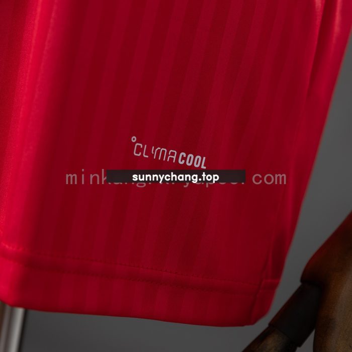 Olympique Lyonnais 26/27 Away Jersey - 图片 3