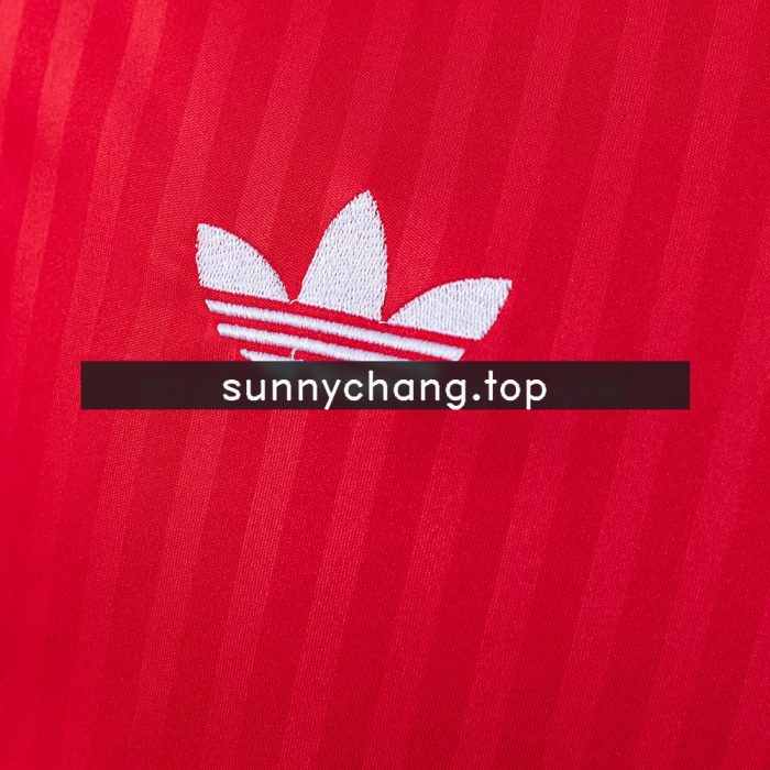Olympique Lyonnais 26/27 Away Jersey - 图片 5
