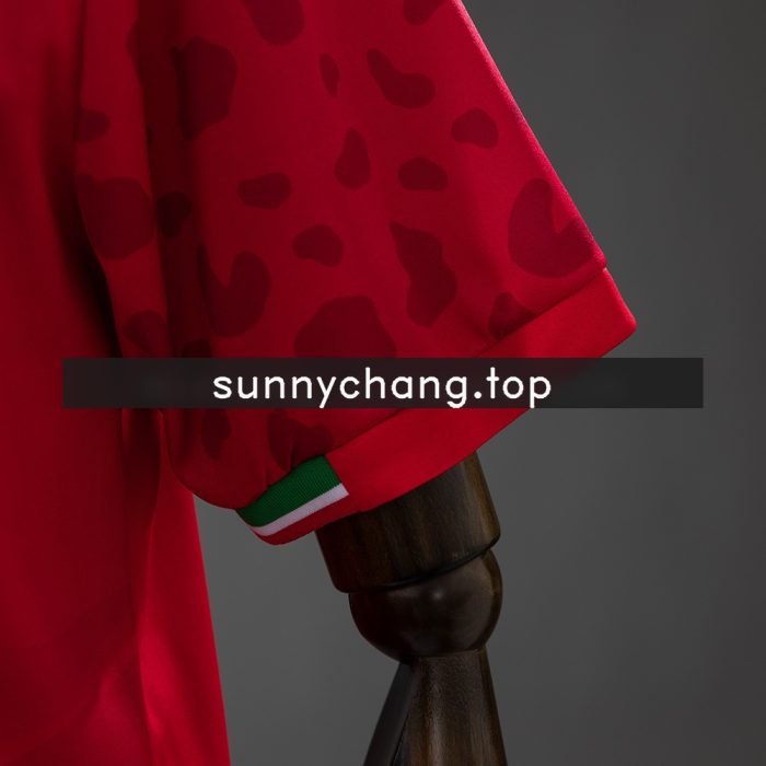Iran 2026 Away Jersey - 图片 4