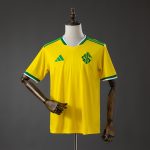 Internacional 26/27 Brazil Edition Jersey