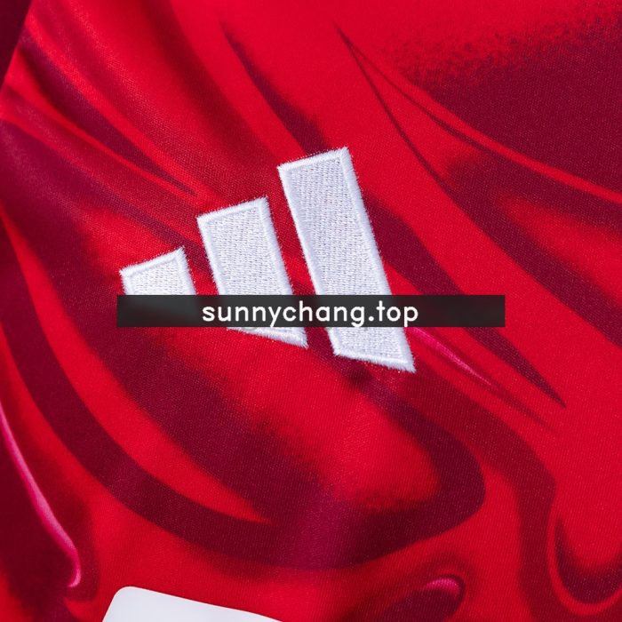 Universidad de Chile 26/27 Third Jersey - 图片 6