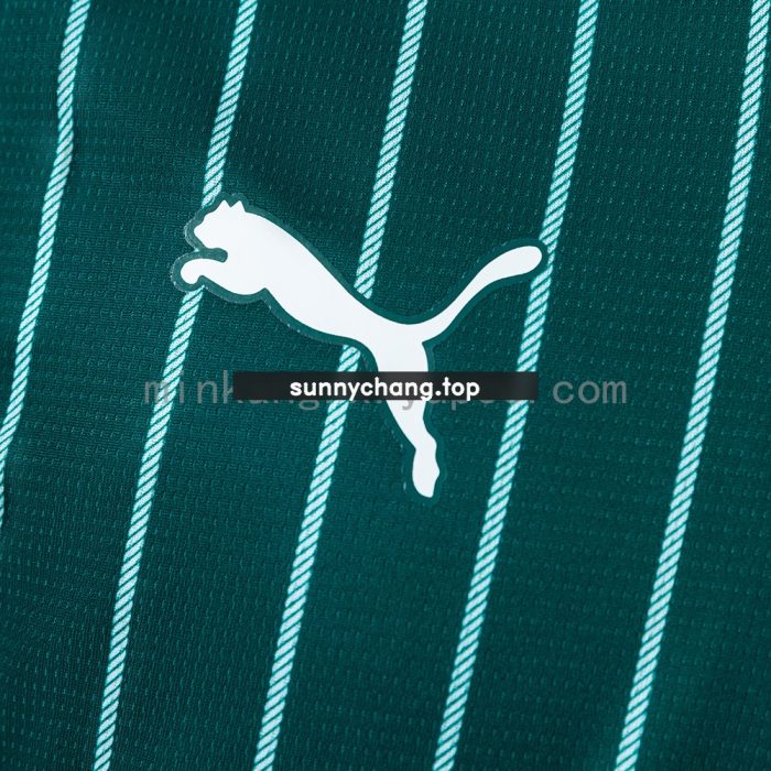 Plymouth Argyle Home Jersey - 图片 6