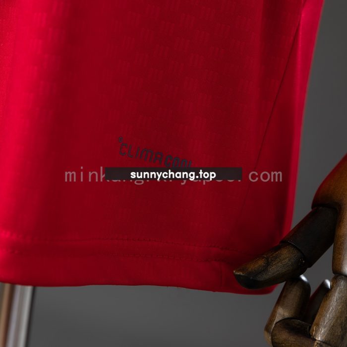 Internacional 26/27 Vest Training - Red - 图片 3