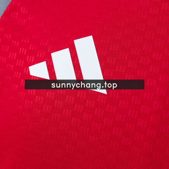 Internacional 26/27 Vest Training - Red - 图片 4