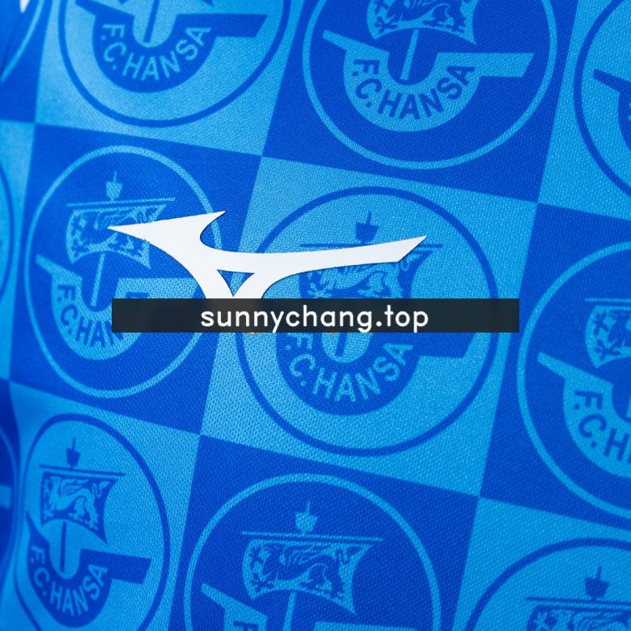 Hansa Rostock 25/26 Home Jersey - 图片 6